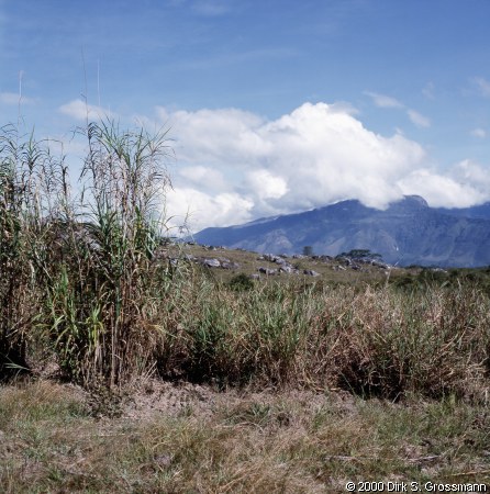 Baliem Valley (Click for next image)