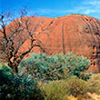 Red Centre