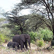 Lake Manyara National Park