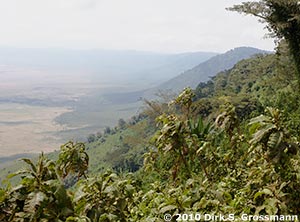 View into the Ngorongoro Caldera