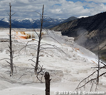 Mammoth Main Terrace, Yellowstone