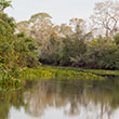 Pantanal