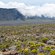 Piton de la Fournaise