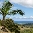 The South Coast of Mauritius