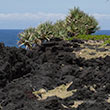 The South Coast of Réunion