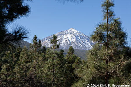 Mount Teide