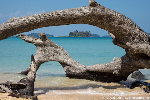 Sea Princess Beach on South Andaman Island. India 2016