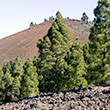 Ruta de los Volcanes