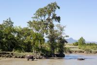 Kaladan River near Rathedaung
