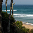 Royal National Park